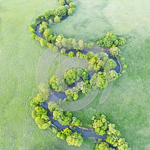 Aerial view of river meander in the lush green vegetation of the delta. Beautiful landscape - wild river in USA. National nature