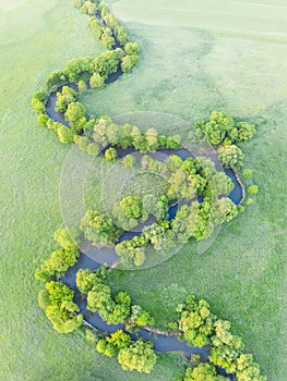 Aerial view of river meander in the lush green vegetation of the delta. Beautiful landscape - wild river in USA. National nature