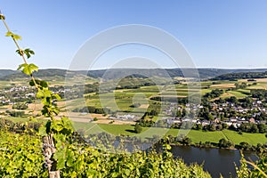 Aerial view at river Moselle valley between Muelheim and Brauneberg photo