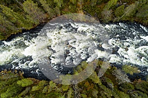An aerial view of river rapids through lush and green Finnish taiga forest