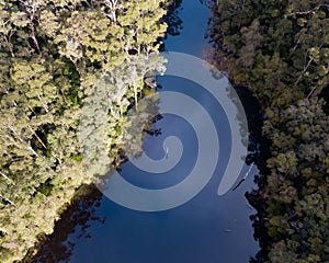 Aerial view of a river surrounded by trees in Karri Valley, Pemberton Western Australia