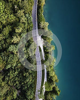 Aerial view of a road along Lake Bled shoreline running near Pine trees, Upper Carniola, Slovenia