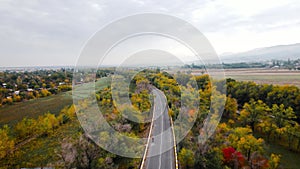 Aerial view of road at autumn forest in Almaty