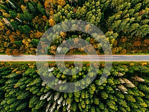 Aerial view of road in autumn forest. Fall landscape with road, red and yellow trees.