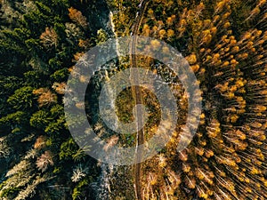 Aerial view of road in autumn forest. Fall landscape with rural road, red, yellow trees with frost.