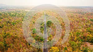 Aerial view of road in autumn forest at sunset. Amazing landscape with rural road, trees with red and orange leaves in day.