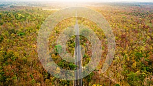 Aerial view of road in autumn forest at sunset. Amazing landscape with rural road, trees with red and orange leaves in day.