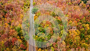 Aerial view of road in autumn forest at sunset. Amazing landscape with rural road, trees with red and orange leaves in day.