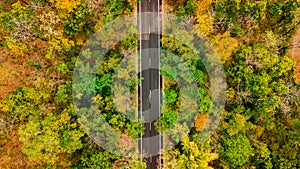 Aerial view of road in autumn forest at sunset. Amazing landscape with rural road, trees with red and orange leaves in day.