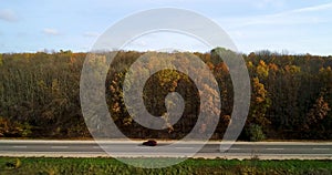 Aerial view of road in autumn forest at sunset. Amazing landscape with rural road, trees with red and orange leaves in a