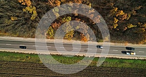 Aerial view of road in autumn forest at sunset. Amazing landscape with rural road, trees with red and orange leaves in a