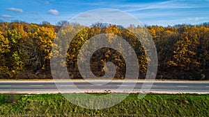 Aerial view of road in autumn forest at sunset. Amazing landscape with rural road, trees with red and orange leaves in a