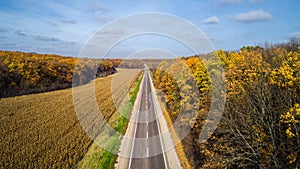 Aerial view of road in autumn forest at sunset. Amazing landscape with rural road, trees with red and orange leaves in a