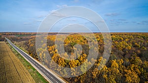 Aerial view of road in autumn forest at sunset. Amazing landscape with rural road, trees with red and orange leaves in a