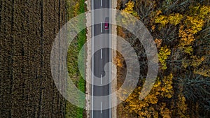 Aerial view of road in autumn forest at sunset. Amazing landscape with rural road, trees with red and orange leaves in a