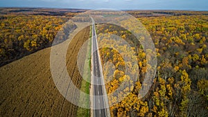 Aerial view of road in autumn forest at sunset. Amazing landscape with rural road, trees with red and orange leaves in a
