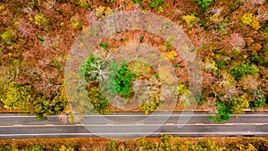 Aerial view of road in autumn forest at sunset. Amazing landscape with rural road, trees with red and orange leaves in day.