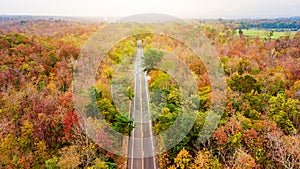 Aerial view of road in autumn forest at sunset. Amazing landscape with rural road, trees with red and orange leaves in day.