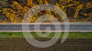 Aerial view of road in autumn forest at sunset. Amazing landscape with rural road, trees with red and orange leaves in a