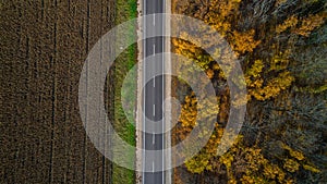 Aerial view of road in autumn forest at sunset. Amazing landscape with rural road, trees with red and orange leaves in a