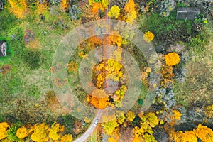 Aerial view of road in beautiful autumn forest. Beautiful landscape with rural road and trees with colorful leaves.