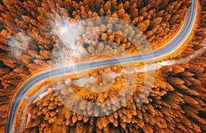 Aerial view of road in beautiful autumn forest in low clouds