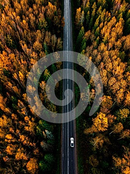 Aerial view of road in beautiful autumn forest in rural Finland