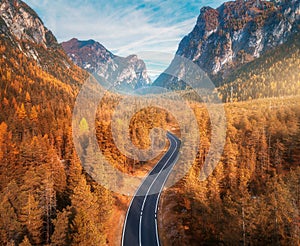 Aerial view of the road in beautiful autumn forest at sunset