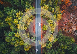 Aerial view of road in beautiful autumn forest at sunset