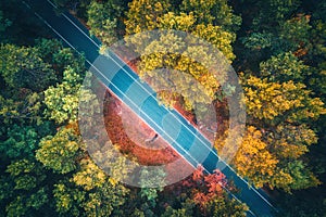 Aerial view of road in beautiful autumn forest at sunset