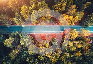 Aerial view of road in beautiful autumn forest at sunset