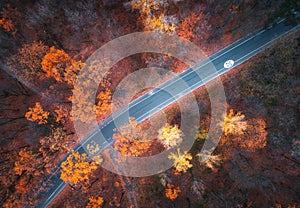 Aerial view of road in beautiful autumn forest at sunset