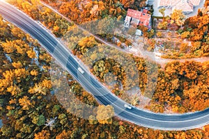 Aerial view of road in beautiful autumn forest at sunset