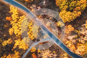 Aerial view of road in beautiful autumn forest at sunset