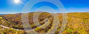 Aerial view of road in beautiful autumn forest at sunset. Beautiful landscape with empty rural road, trees with red and