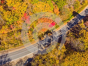 Aerial view of road in beautiful autumn forest at sunset. Beautiful landscape with empty rural road, trees with red and