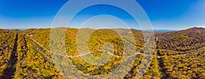 Aerial view of road in beautiful autumn forest at sunset. Beautiful landscape with empty rural road, trees with red and