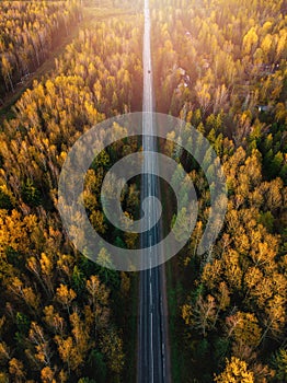 Aerial view of road in beautiful autumn forest at sunset in rural Finland