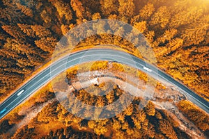 Aerial view of road in beautiful forest at sunset in autumn