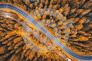 Aerial view of road in beautiful forest at sunset in autumn