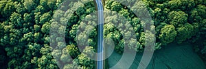 Aerial view of road in beautiful green forest in spring. Colorful landscape with car on the roadway, trees in summer