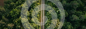 Aerial view of road in beautiful green forest in spring. Colorful landscape with car on the roadway, trees in summer