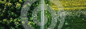 Aerial view of road in beautiful green forest in spring. Colorful landscape with car on the roadway, trees in summer