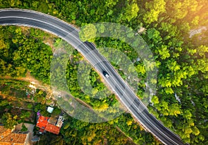 Aerial view of road in beautiful green forest at sunset in spring