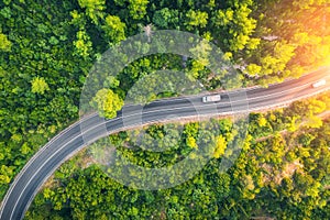 Aerial view of road in beautiful green forest at sunset in spring