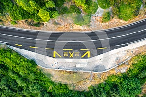 Aerial view of road in beautiful green forest at sunset in summer