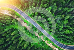Aerial view of road in beautiful green forest at sunset in summer