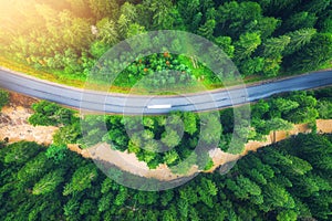 Aerial view of road in beautiful green forest at sunset in summer