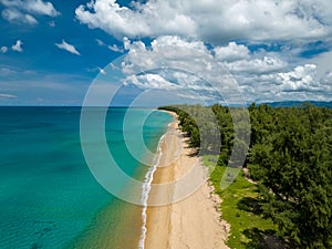 Aerial view of road in beautiful green forest with wave crushing beach and sea, topview from drone