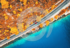 Aerial view of road in beautiful orange forest and blue sea